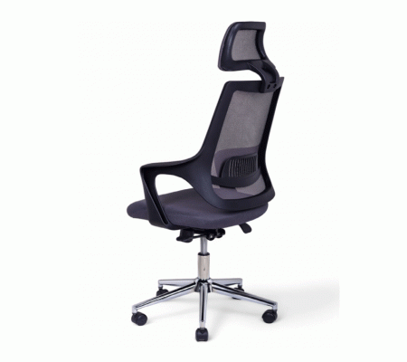 ALFA MÜDÜR KOLTUĞU